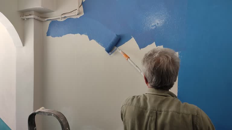 Best Fire-Damaged Drywall Repair  in Chatham, VA